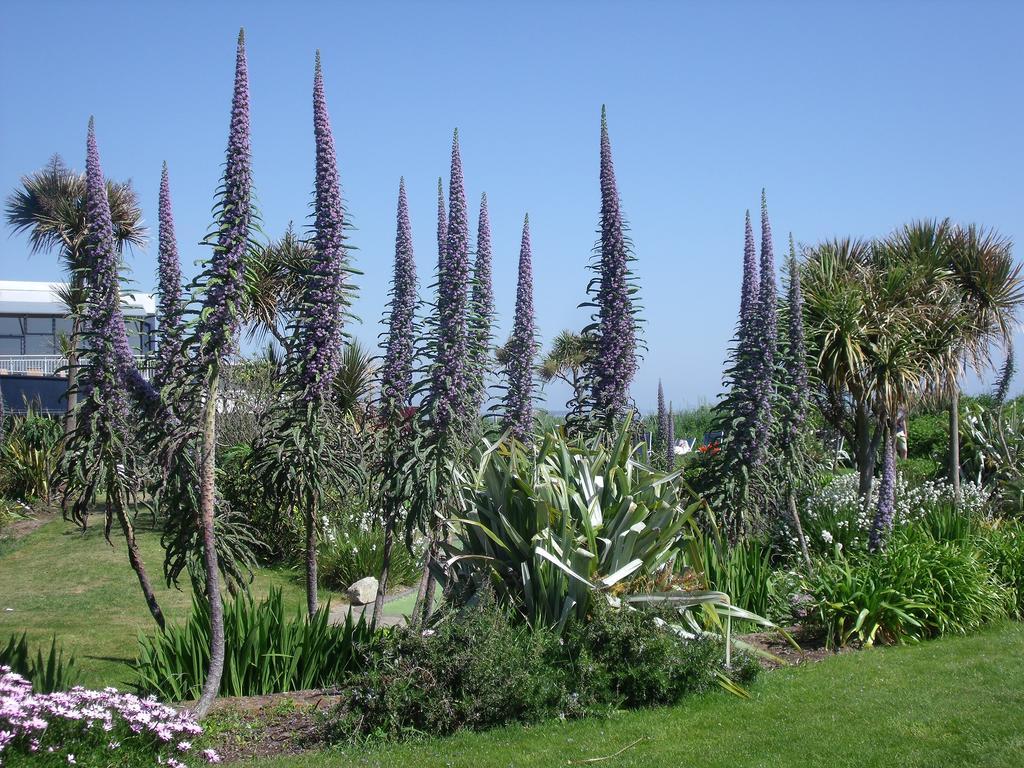 Kelly'S Resort Hotel & Spa Rosslare Harbour Exterior photo